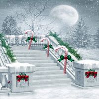 Leowefowa 10x10T Christmas Backdrop Candy Cane Bowknot Pine Twig Shining Moon Forest Snowing Outdoor Winter Scene Stone Stair Happy New Year Vinyl Photography Background Kids Adults Photo Studio Props