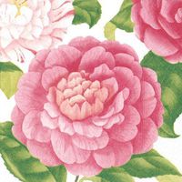 Dessert Napkins Paper Napkins Baby Shower Bridal Shower Garden Party Camellias Pk 40