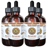 White Fungus Tincture, White Fungus (Tremella Fuciformis) Mushroom Liquid Extract 4x4 oz