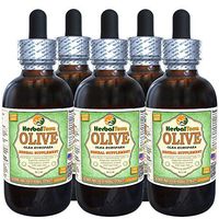 Olive (Olea Europaea) Glycerite, Organic Dried Leaves Alcohol-Free Liquid Extract (Brand Name: HerbalTerra, Proudly Made in USA) 5x2 fl.oz (5x60 ml)