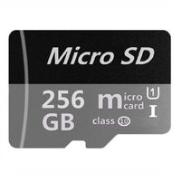 Micro Mini SD Card 256GB, XSSRUN Small Memory Card for Micro Mini SD/XC/HC Class 10 UHS-I High Speed Memory Card for Phone,Tablet and PCs - with Free Adapter