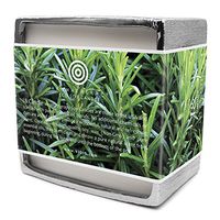 I & Candle, Big Pot 50 oz. Aromatherapy Premium Eco Soy 5-Wick Candle. Made in the USA with Pure Essential Oils Blend and All Natural Ingredients. Net Weight: 50 oz.(1.41 kg) (Rosemary & Mint)