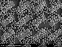 Colloidal Polystyrene Beads (CV < 3%, 10-50 mg/ml, 100 nm - 100 um) (50 um, 10 mg/ml, 10 ml)