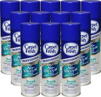Carpet Fresh Quick-Dry Foam,  Professional,  Fresh Scent, 20 OZ [12-Pack] (280300)