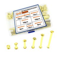 SpzcdZa 120pcs Golden Phillips Chicago Screw Binding Screws Posts Assortment Kit for Scrapbook Photo Albums Craft and DIY Leather Decoration Bookbinding(M5 x 10/20/30/40/50/60)