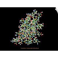 CANVAS ON DEMAND Insulin Molecule Wall Decal, 40"x30"