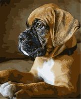 OUBEY 5D DIY Diamond Painting Full Square Drill Boxer Dog Rhinestone Embroidery for Wall Decoration 30x25cm