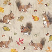 IHR 20 Luxury Paper Lunch Napkins- Squirrels