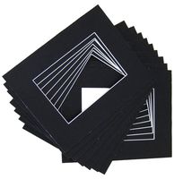 10 of 18x24 Black Pre-cut Acid-free whitecore mat for 13x19 + back+bag