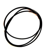 New Replacement Belt Pro-Ject 2Xperience SB Acryl Turntable