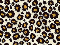 Animal Print Tissue Paper Safari - 240 Sheets