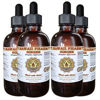 Ginger (Zingiber officinale) Liquid Extract 4x4 oz