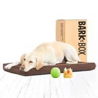 BarkBox Memory Foam Platform Dog Bed | Plush Mattress for Orthopedic Joint Relief | Machine Washable Cuddler with Removable Cover and Waterproof Lining | Includes Squeaker Toy | Espresso | Large