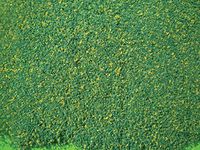 Wee Scapes Architectural Model Grass Mat: Blended Green, 12" x 50" Sheets