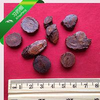 XYP Zhigancao Zhi Gan Cao Radix Glycyrrhizae Uralensis Preparata Liquoric Root Processed with Honey 炙甘草 100gram