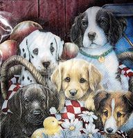 DESIGNER BEVERAGE NAPKINS / 30 PC COUNT (5"  x  5", Puppies)