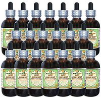 Saint John's Wort (Hypericum Perforatum) Glycerite, Organic Dried Herb Alcohol-Free Liquid Extract (Brand Name: HerbalTerra, Proudly Made in USA) 20x4 fl.oz (20x120 ml)