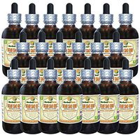 Suan Zao Ren (Ziziphus Jujuba) Tincture, Organic Dried Seeds Liquid Extract (Brand Name: HerbalTerra, Proudly Made in USA) 20x4 fl.oz (20x120 ml)