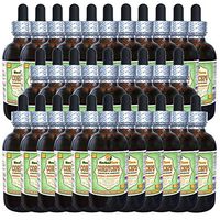 Cordyceps (Cordyceps Sinensis) Glycerite, Organic Dried Mushroom Powder Alcohol-Free Liquid Extract (Brand Name: HerbalTerra, Proudly Made in USA) 30x2 fl.oz (30x60 ml)