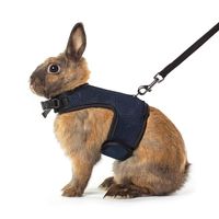 Niteangel Adjustable Soft Harness with Elastic Leash for Rabbits (S, Royal Blue)