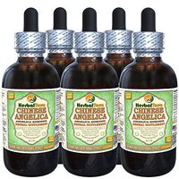 Angelica Chinese (Angelica Sinensis) Glycerite, Organic Dried Root Alcohol-Free Liquid Extract (Brand Name: HerbalTerra, Proudly Made in USA) 5x2 fl.oz (5x60 ml)