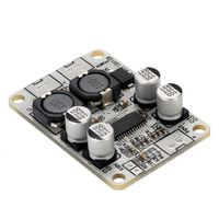 WINGONEER TPA3110 PBTL Mono Digital Amplifier Board AMP Module 1x30W Power AMP DC 8-26V