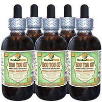 HOU TOU Gu (Hericium Erinaceus) Glycerite, Dried Mushroom Alcohol-Free Liquid Extract (Brand Name: HerbalTerra, Proudly Made in USA) 5x2 fl.oz (5x60 ml)