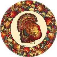 Amscan 65564 plates, Multi Color