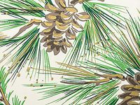 Pine Boughs 24"x417' Gift Wrap Counter Roll (1 Roll) - WRAPS-14749H24