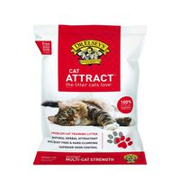 Dr. Elsey's Cat Attract Problem Cat Training Litter, 40 pound bag