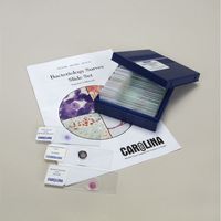 Bacteriology Survey Microscope Slide Set 3