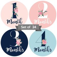 Baby Monthly Stickers | Floral Baby Milestone Stickers | (Set of 24) | Newborn Girl Stickers | Month Stickers for Baby Girl | Baby Girl Stickers | Newborn Monthly Milestone Stickers (Set of 24)