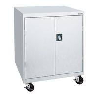 Sandusky Lee TA2R462442-05 Steel Transport Mobile Storage Cabinet, 2 Adjustable Shelves, 48" Height x 46" Width x 24" Depth, Dove Gray