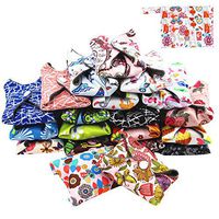 Asenappy Reusable Cloth Menstrual Pads Sanitary Pads - 10 pcs Pads+1 Bag Random Prints