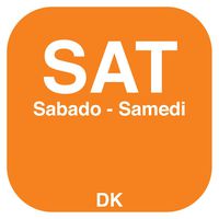 DayMark Day Of Week 3/4" x 3/4" Permanent Label, Saturday (2,000 Labels)
