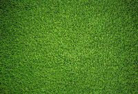Baocicco Green Grassland Backdrop Football Soccer Playground Kindergarten School 7x5ft Photography Background Greensward Sports Field Rural Countryside Garden Park Childcare Kindergarten Baby Shower