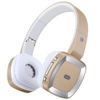 Bluetooth Headphones Over Ear with Mic,Active Noise Cancelling Headphones,HD Stereo Wireless Headset with Soft Ear Pads 15H Playtime,Foldable Adjustable Earphones for Kids Boys Adult Travel/Work-Gold