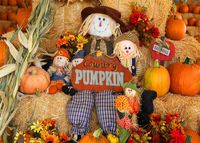 Leowefowa 7X5FT Vinyl Photography Backdrop Halloween Pumpkin Cloth Dolls Straw Flowers Nature Autumn Harvest Background Kids Children Adults Photo Studio Props