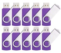 Yonger 10 X USB 2.0 Flash Pen Drive USB 2.0 Swivel Flash Drive Memory Stick (16G, Purple)