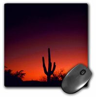 3dRose LLC 8 x 8 x 0.25 Inches Sabino Canyon Mouse Pad (mp_21660_1)