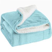 Bedsure Fleece Blanket Sherpa Throw size 50x60 Bed Blanket Tiffany Blue