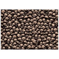 Allenjoy 7x5ft Skull Backdrop for Photography Halloween Vintage Magic Pirate Catacombs Children Horrible Carnival Party Birthday Background Banner Baby Shower Family Home Decorations Photo Booth Shoot