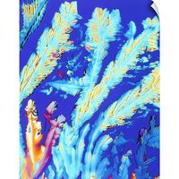 CANVAS ON DEMAND PLM of Crystals of Magnesium Citrate Drug Wall Decal, 24"x30"