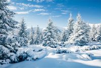 CSFOTO 7x5ft Background for Winter Forest Landscape Snow Scene Photography Backdrop White World Snow Cold Frost Sunny Wonderland New Year Christmas Holiday Photo Studio Props Polyester Wallpaper