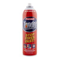 First Alert Tundra Fire Extinguishing Aerosol Spray, AF400
