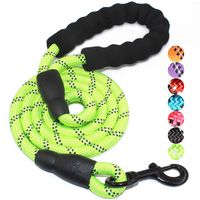 BAAPET 5 FT Strong Dog Leash with Comfortable Padded Handle and Highly Reflective Threads for Medium and Large Dogs (Green)