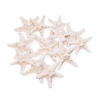 Tumbler Home Knobby Starfish Set of 12 - Size from 2" to 4"
