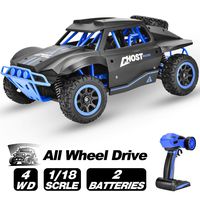 Rainbrace RC Cars 4WD Remote Control Car All Terrain 1/18 High Speed RC Crawler Trucks Vehicle Off Road RC Racing Cars Toys for 6-15 Years Old Boys Kids Adults (Random Colors)