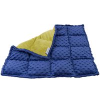 Sensory Weighted Lap Pad for Kids 5 pounds - Great Weighted Lap Blanket for Kids with Autism, ADHD, and Sensory Processing Disorder - Classroom and Special Education Supplies