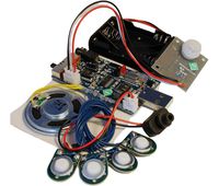 Electronics123.com, Inc. 300 Second USB Recording Module W/Light Sensor & PIR for Motion Activation